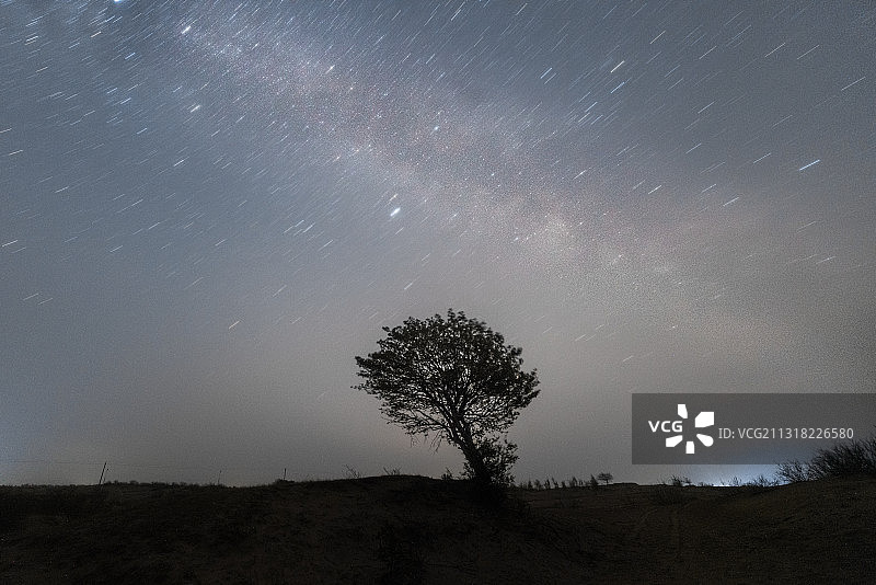 沙漠星空下一棵孤独的小树图片素材