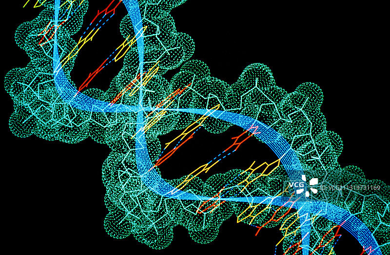 DNA双螺旋结构图片素材