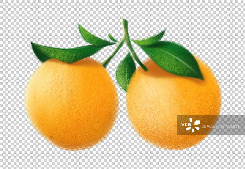 带叶子的两个橙子图片素材