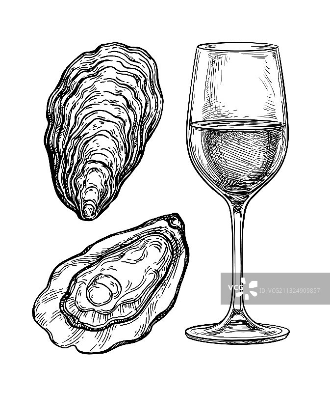 墨水素描酒杯和牡蛎图片素材