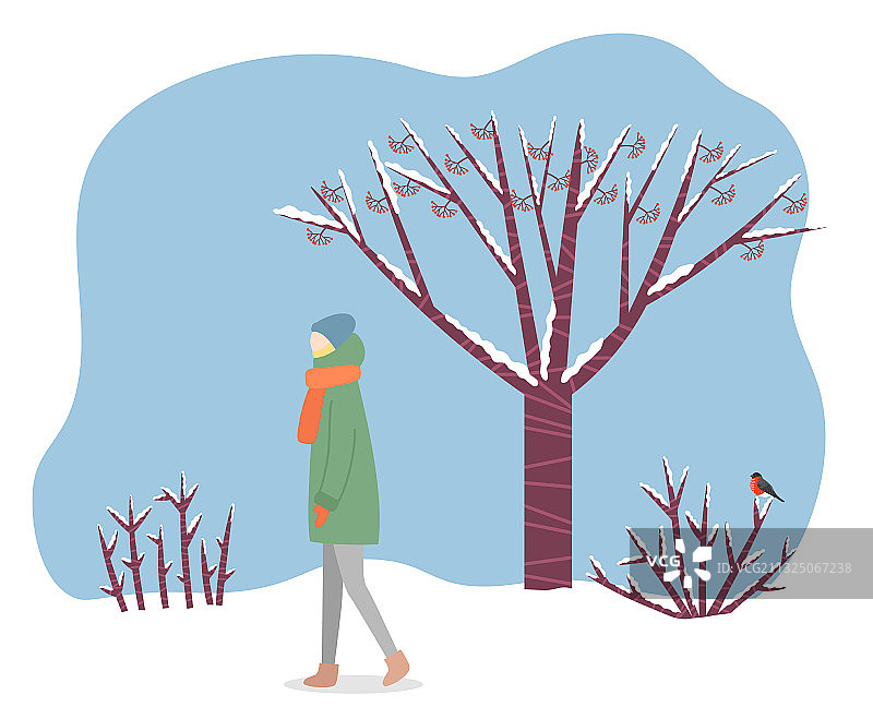 女人在寒冷的冬天穿过森林图片素材
