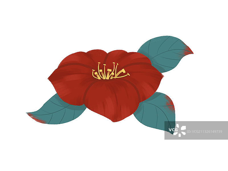 单朵茶花素材花卉元素插画图片素材
