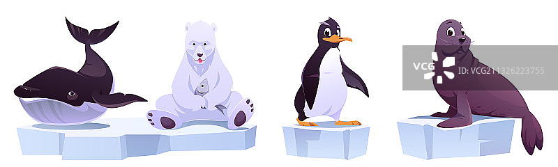 卡通野生动物在浮冰鲸鱼熊图片素材