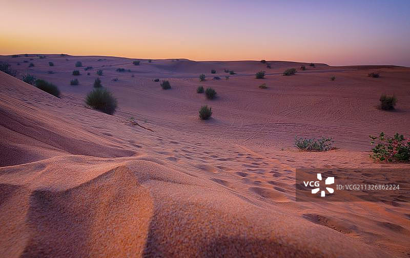 日落时晴朗的天空映衬下的沙漠风景图片素材