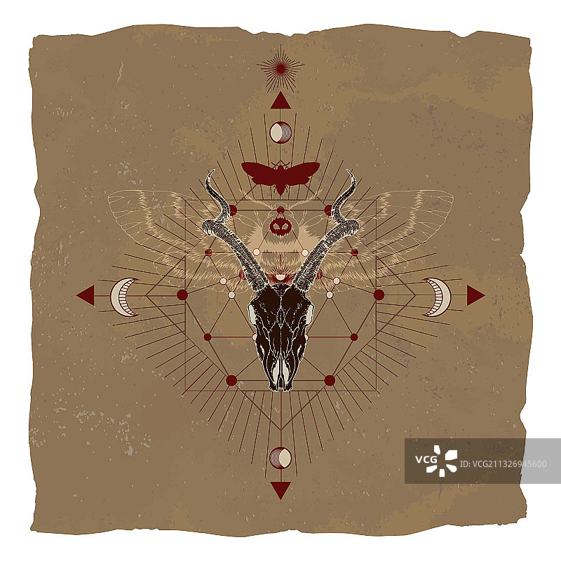 羚羊颅骨死头蛾和神圣的象征图片素材