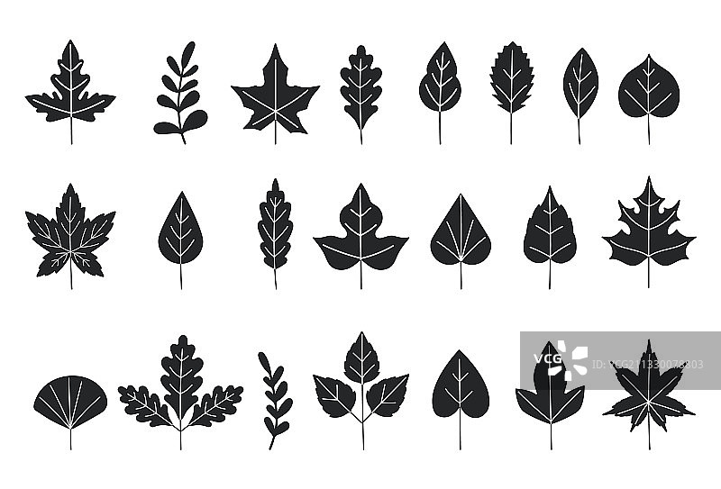 黑色的剪影树的叶子秋天的叶子图片素材