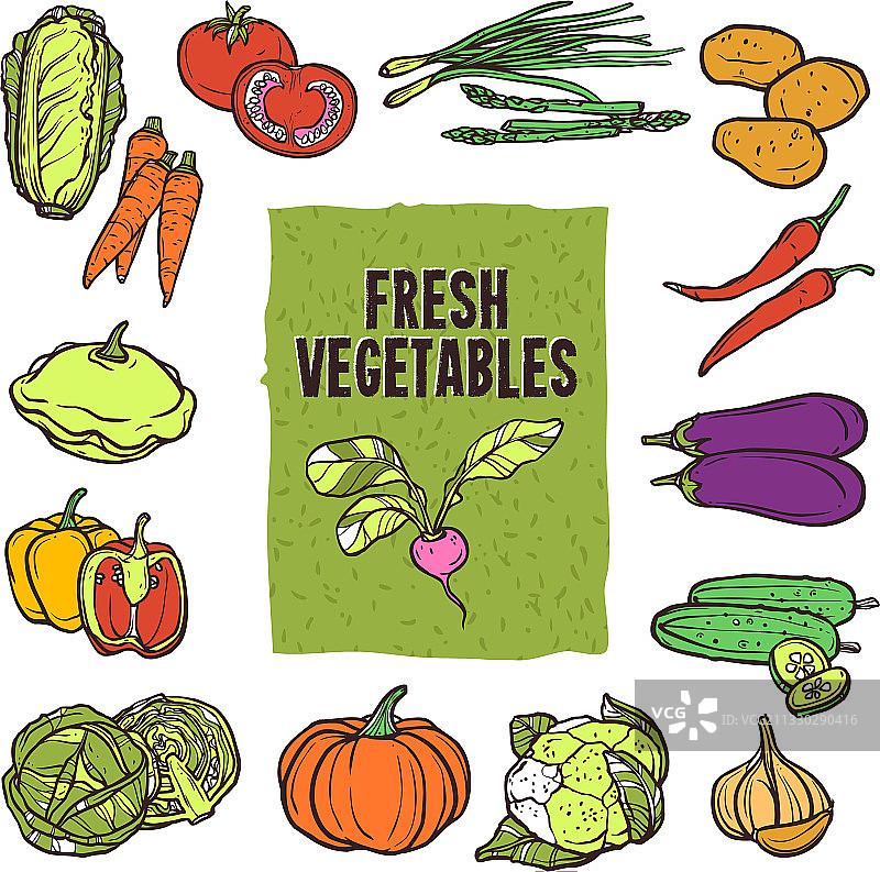 蔬菜素描集图片素材