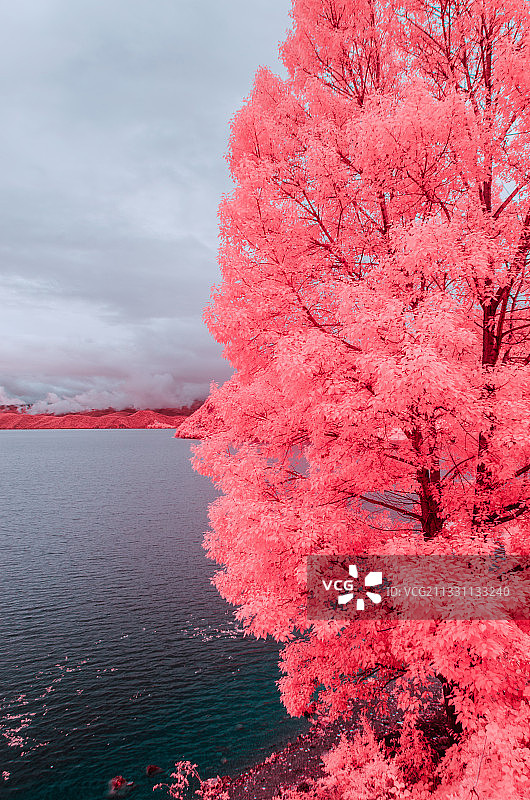 泸沽湖，红外摄影图片素材