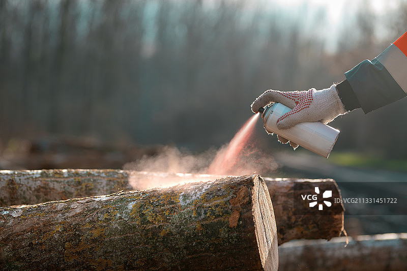 塞尔维亚，林业技术员用红色喷雾剂油漆在原木上做木柴标记图片素材