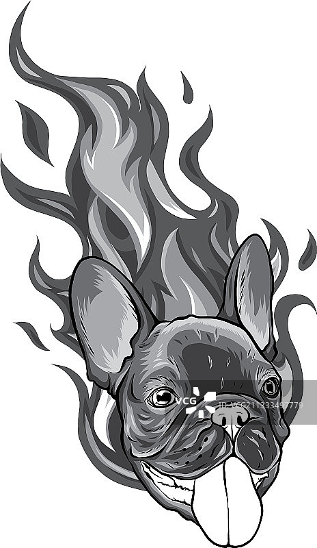 在野兽模式的单色斗牛犬火焰纹身图片素材