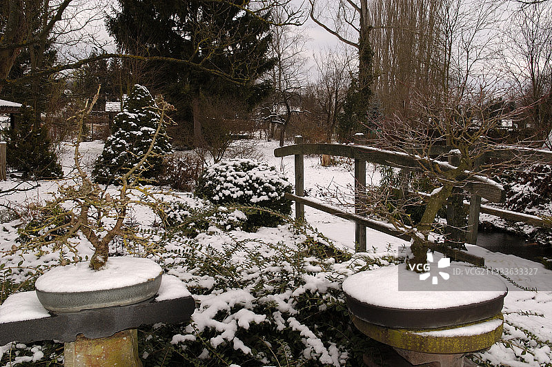 法国阿尔萨斯的冬季花园盆景图片素材