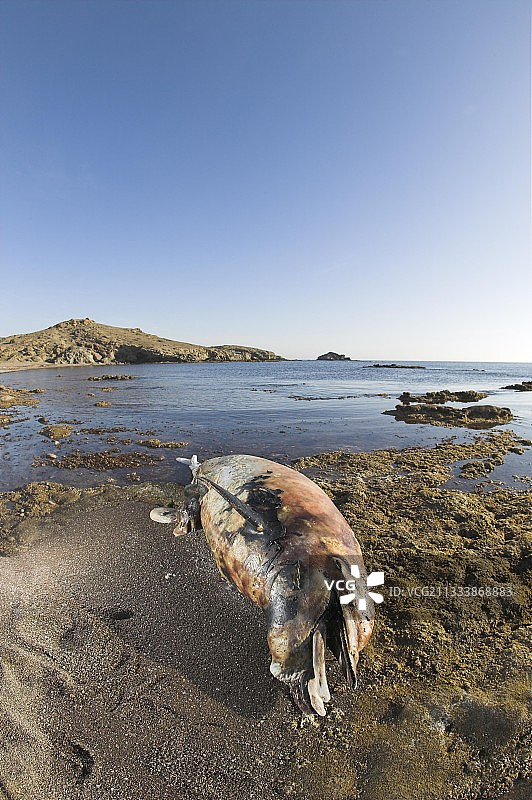 “太子”搁浅在西班牙尼加尔角自然公园门图片素材