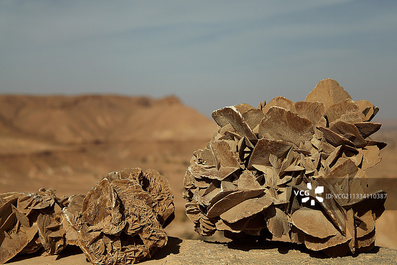 突尼斯沙漠中的沙玫瑰图片素材
