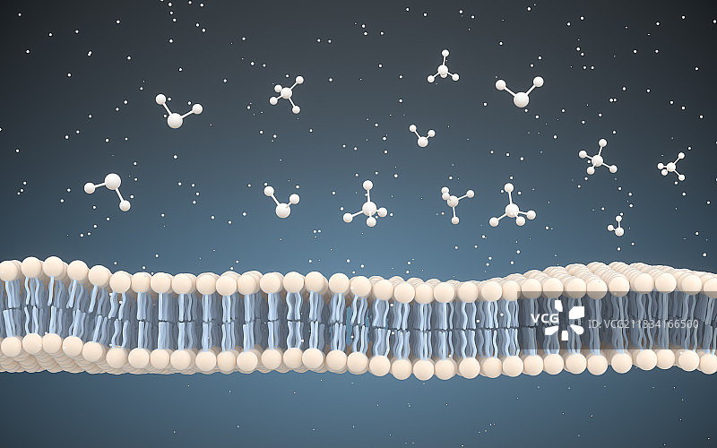 细胞膜和分子结构 3D渲染图片素材