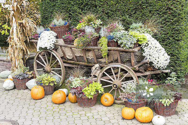 德国秋天万圣节装饰车。图片素材