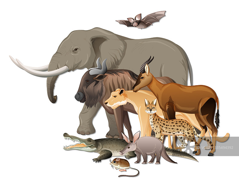非洲野生动物群的白色背景图片素材