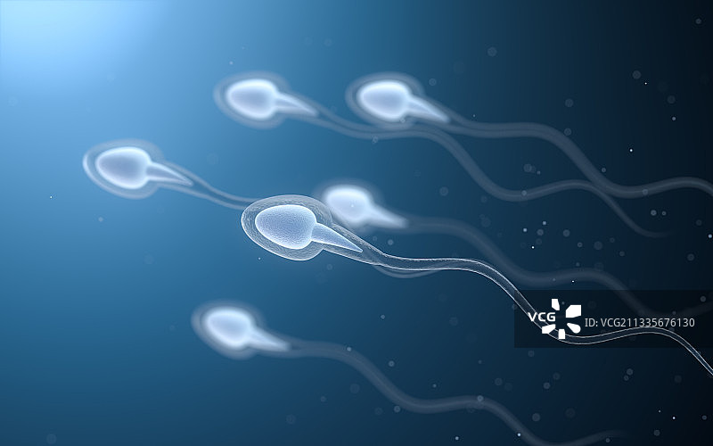 精子细胞 3D渲染图片素材