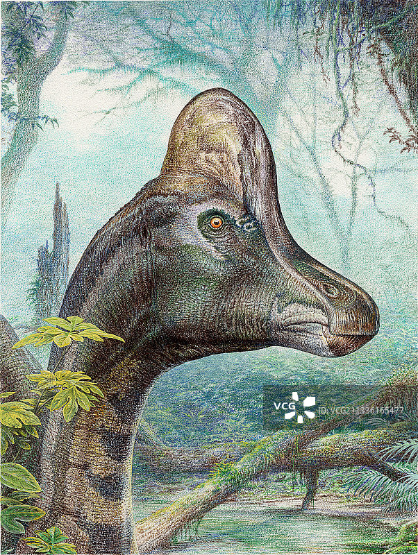 Hypacrosaurus恐龙,艺术品图片素材