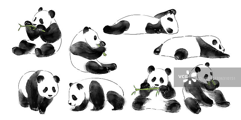 熊猫图片素材