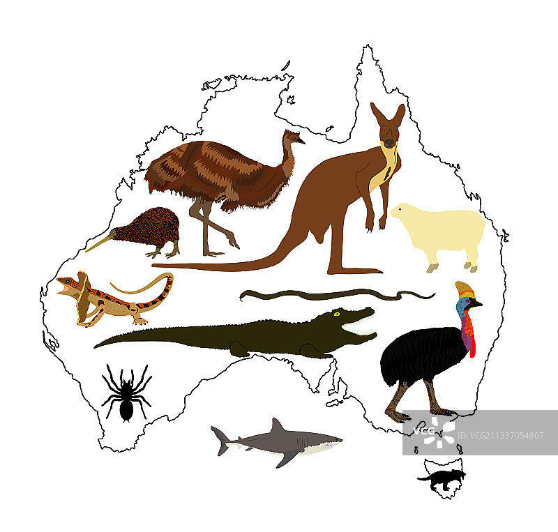 动物从澳大利亚越过地图等高线图片素材