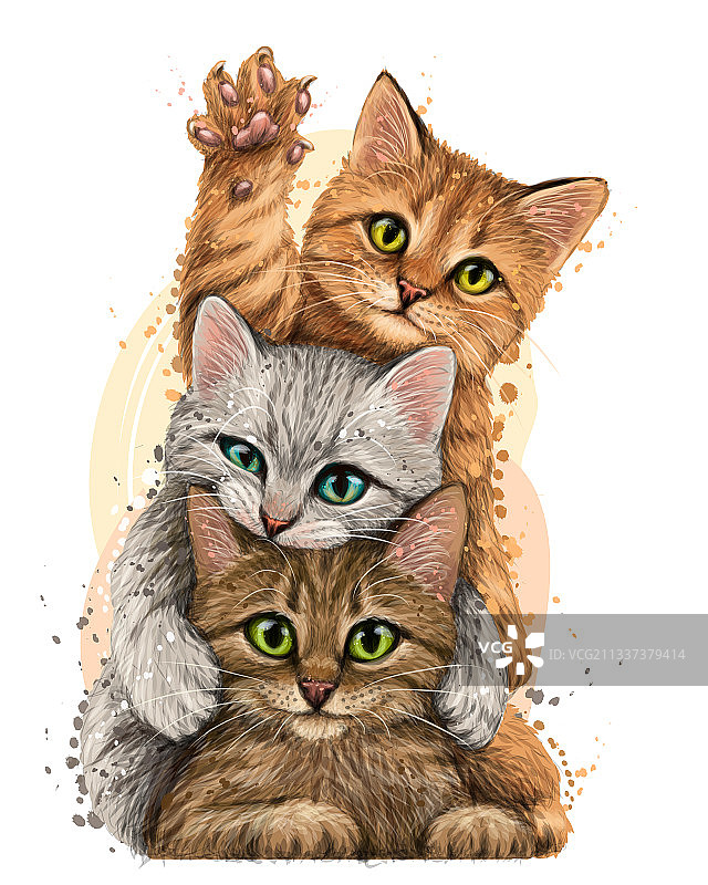 彩色图形肖像三个可爱的小猫图片素材