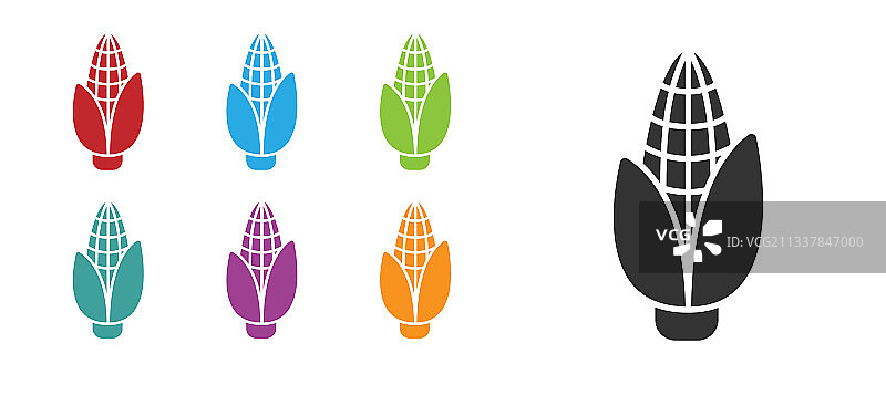 黑玉米图标孤立在白色背景设置图片素材