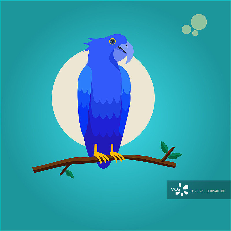 鸟卡通图标与背景蓝色的天空图片素材