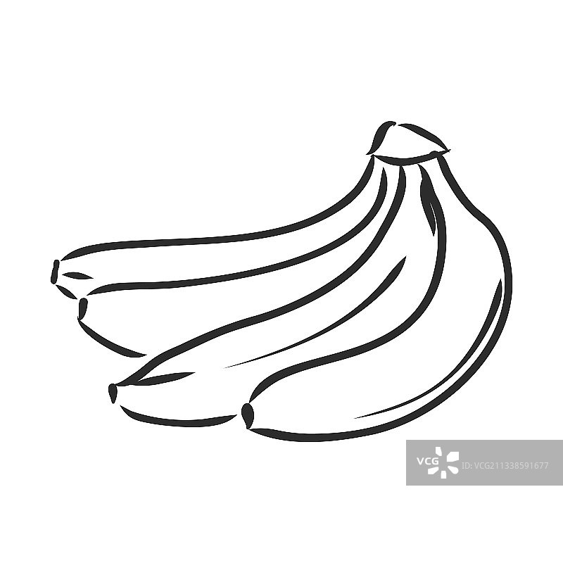 香蕉水果串有机营养健康食品图片素材