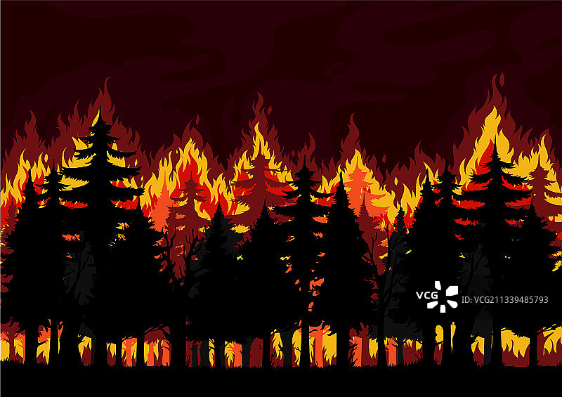 云杉林火灾的自然灾害背景图片素材
