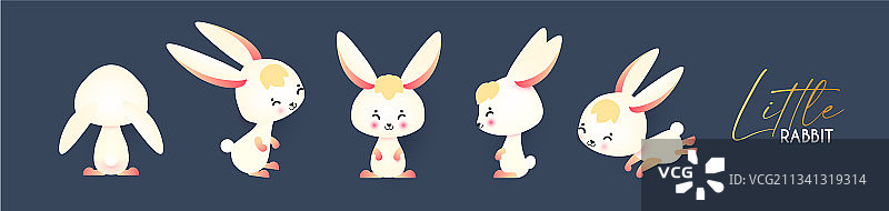 可爱的小白兔收藏坐跳图片素材