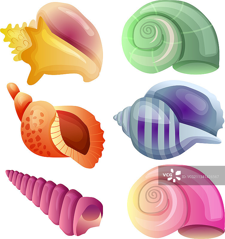 混合海贝壳图片素材