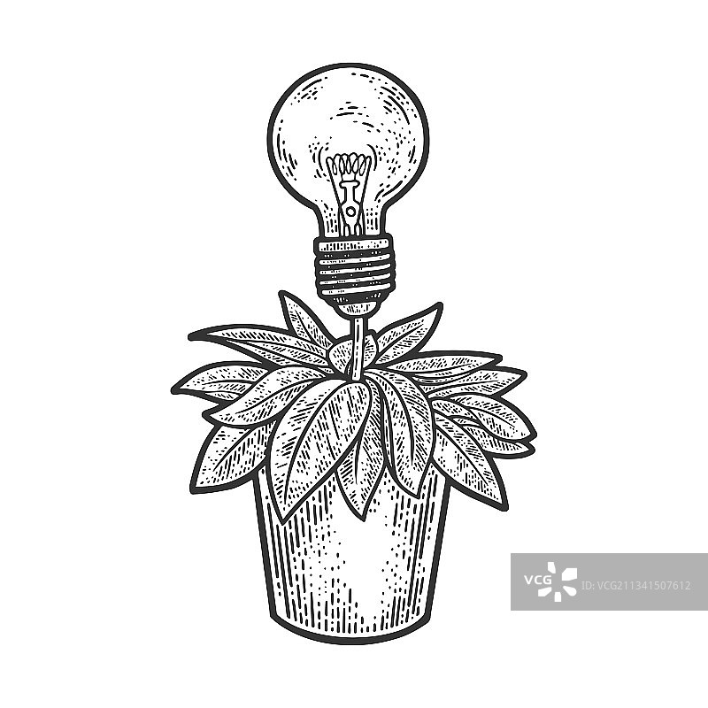 灯泡植物简图图片素材