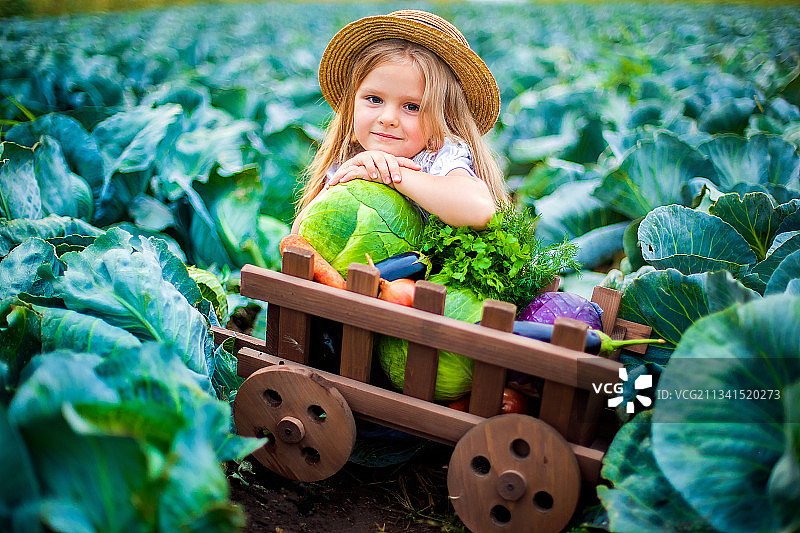 戴着草帽的快乐女孩在白菜地里提着一篮蔬菜图片素材