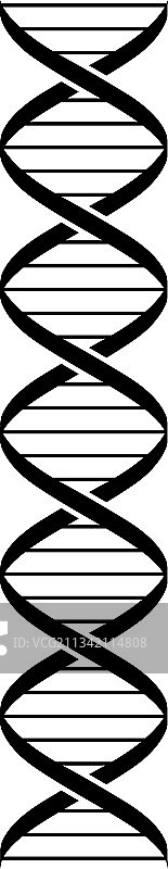DNA双螺旋图片素材