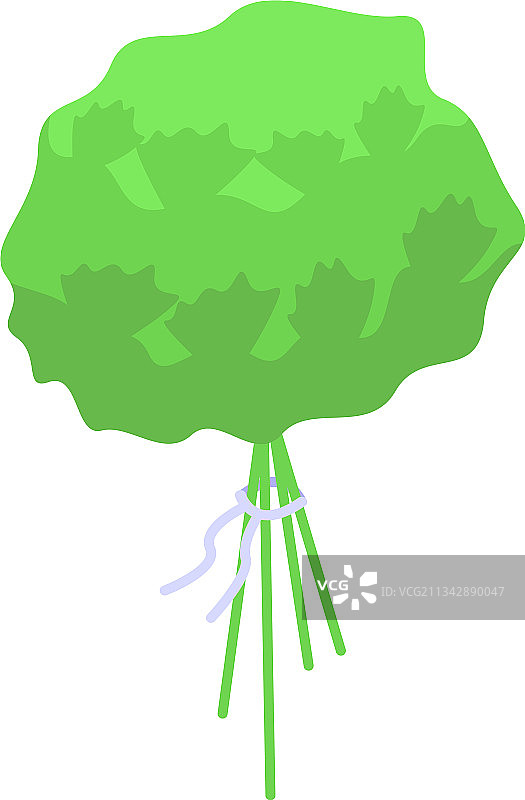 维生素d绿色香料图标等距风格图片素材