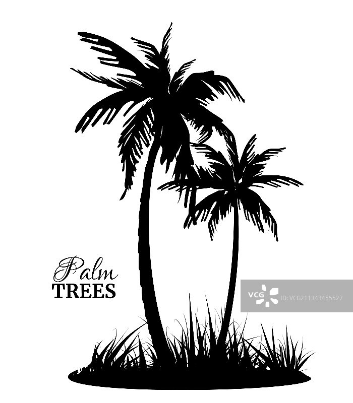 两棵黑色棕榈树的剪影异域岛屿图片素材