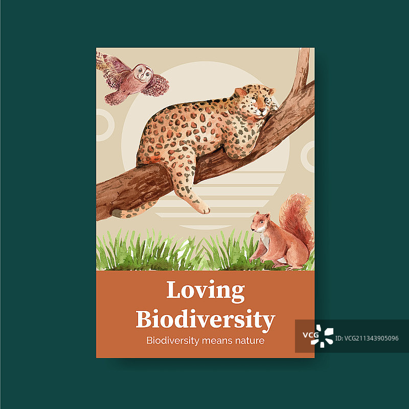 海报模板以生物多样性为自然图片素材