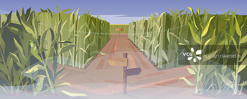 玉米地上的路和雾中的木制方向标志图片素材