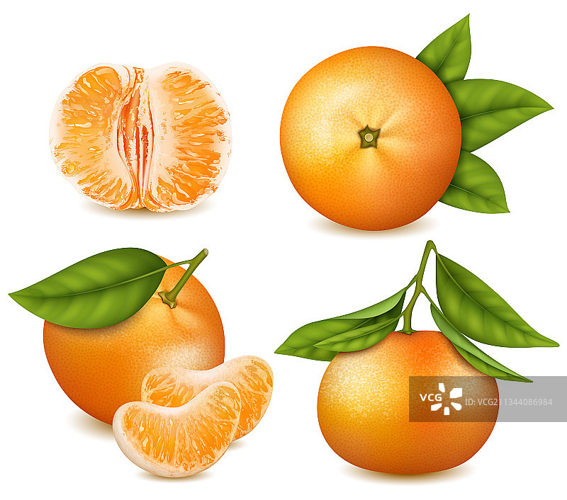 现实详细的3d新鲜柑橘与绿色图片素材