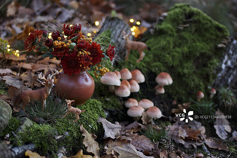 真菌，苔藓，动物雕像和菊花和火棘浆果的林地安排图片素材