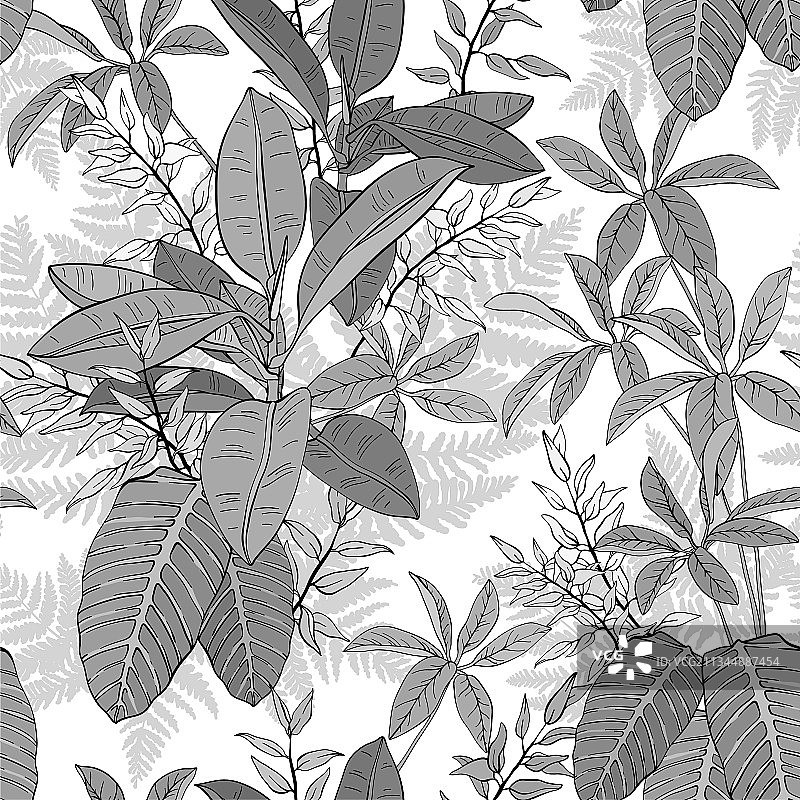 榕树、棕榈叶与热带植物无缝衔接图片素材