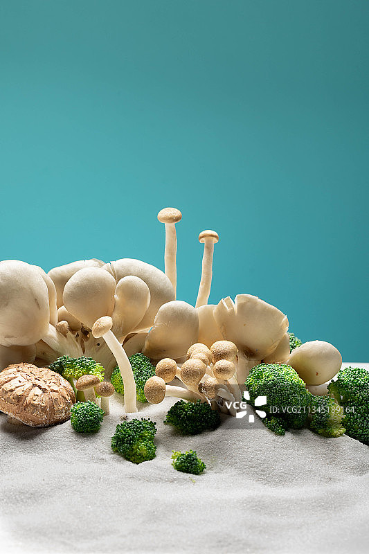 创意蘑菇群图片素材