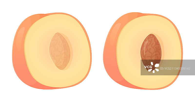 半切的水蜜桃果实可用于保健图片素材