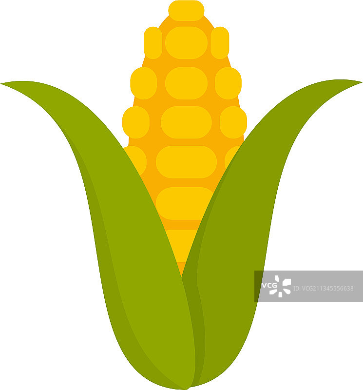 玉米植株图标扁平孤立图片素材