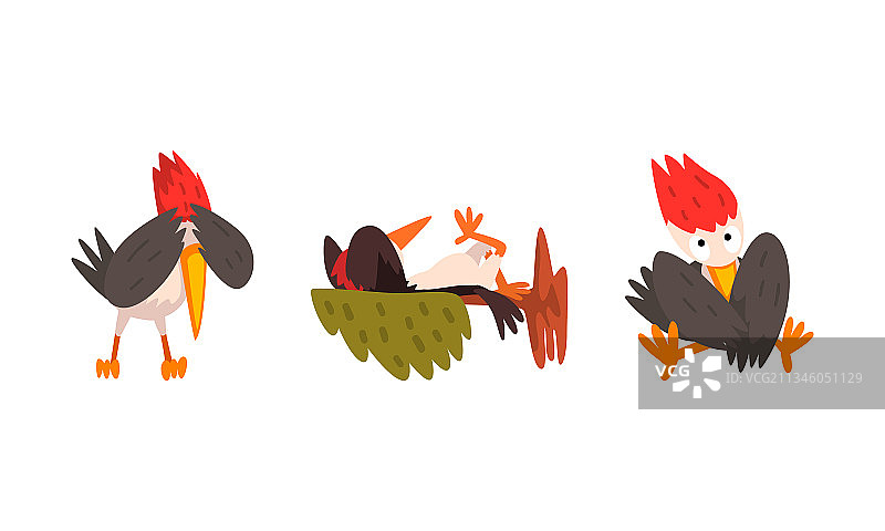 有趣的啄木鸟角色集漫画图片素材