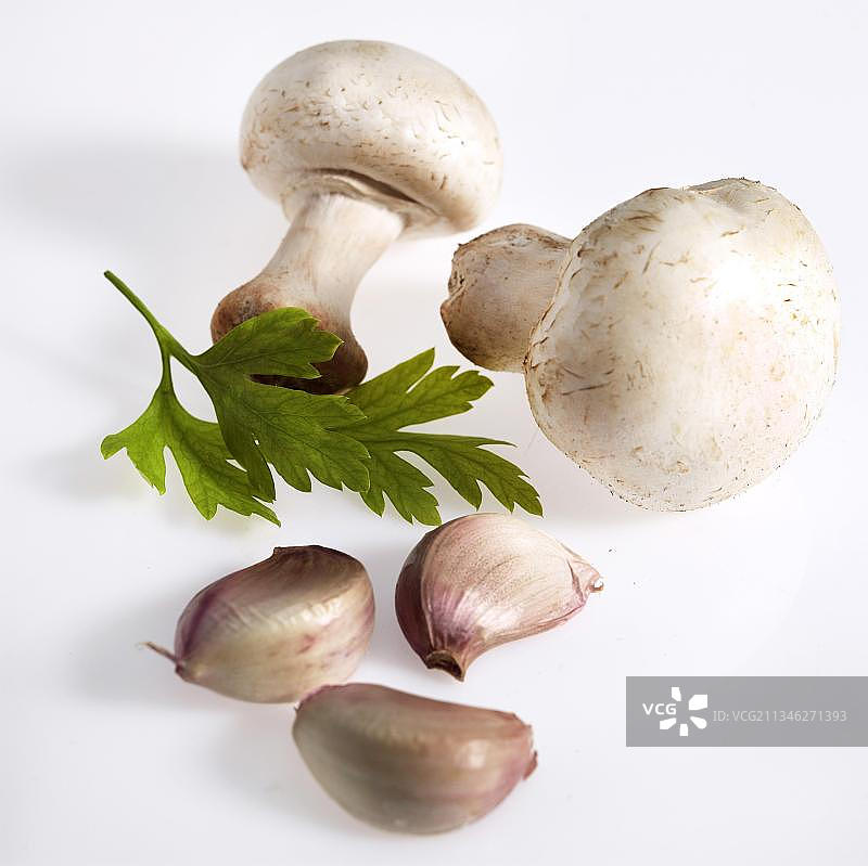 球茎叶蘑菇或栽培蘑菇(双孢蘑菇)，配欧芹和大蒜图片素材