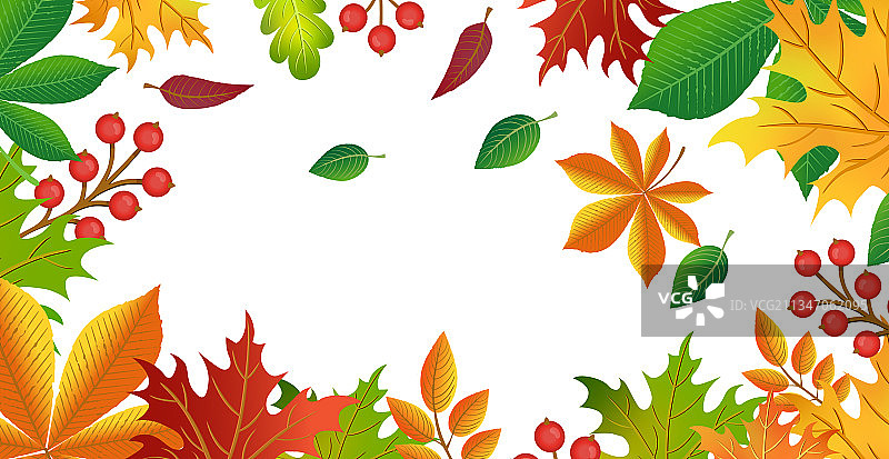 现实的秋天树叶在一个轻的背景图片素材