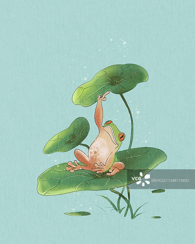 夏天荷叶上的青蛙装饰插画图片素材