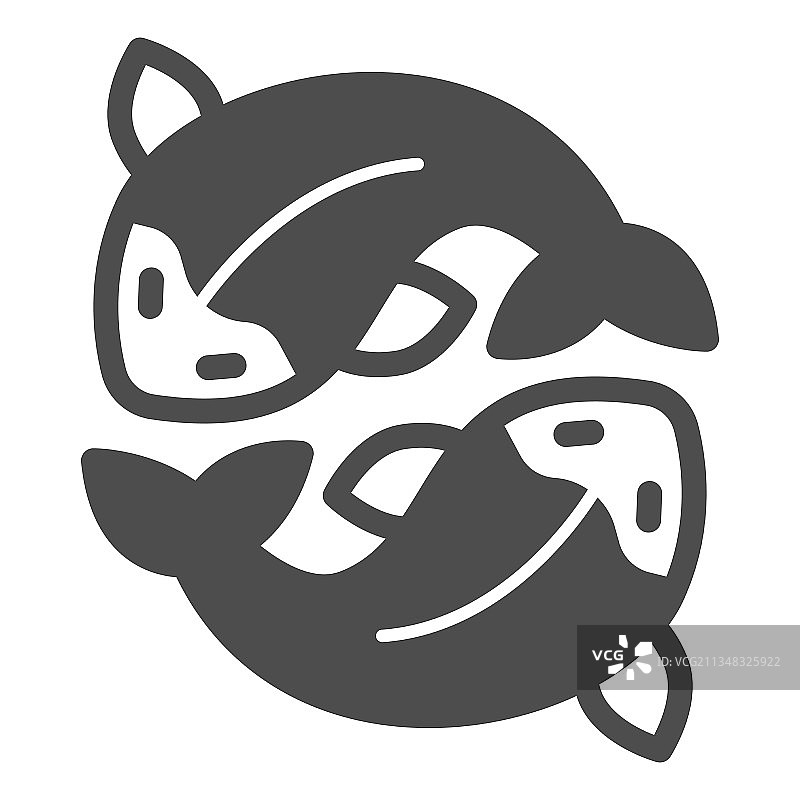 两大马哈鱼，新鲜的日本锦鲤固体图片素材