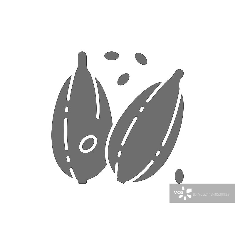 小豆蔻香料灰色图标隔离在白色图片素材